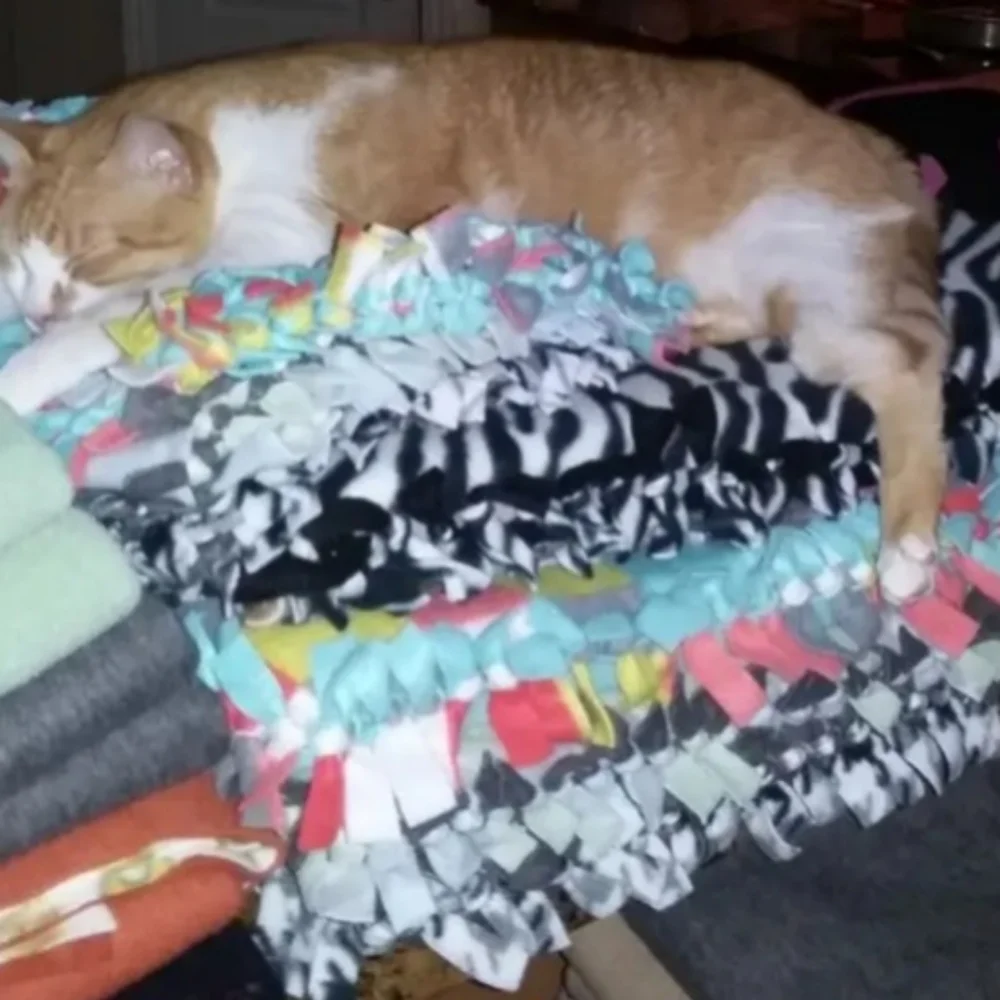 Cat beds and throws
